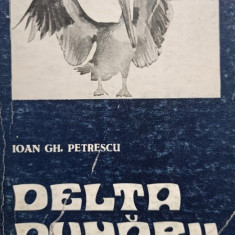 Ioan Gh. Petrescu - Delta Dunarii (1975)