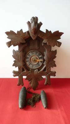 CEAS CU CUC (PADUREA NEAGRA) foto