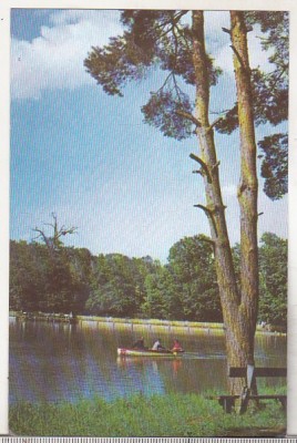 bnk cp Sibiu - Lacul din Dumbrava - necirculata foto