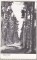 Foto  - 1