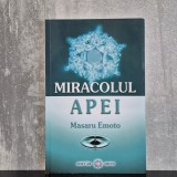 Masaru Emoto - Miracolul apei | Masaru Emoto, miracolul apei, apă și conștiință