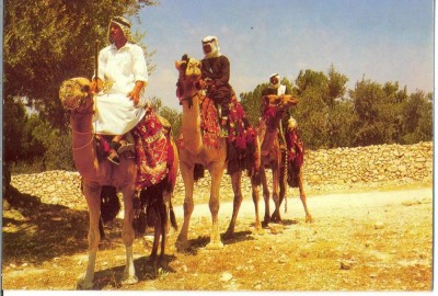 AD 1106 C. P. VECHE -TRAVELLERS ON THEIR CAMELS foto