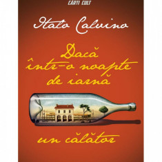 Dacă într-o noapte de iarnă un călător - Italo Calvino