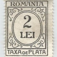 România, LP IV.13b/1924, Taxa de plată, h. verde-galbuie, f. filig., eroare, MNH
