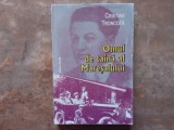 CRISTIAN TRONCOTA - OMUL DE TAINA AL MARESALULUI, 2008
