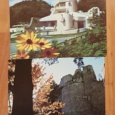 Set 2 carti postale (vederi) Targu Neamt. Necirculate