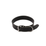 Zgarda caini, simpla, negru, 30/620 mm