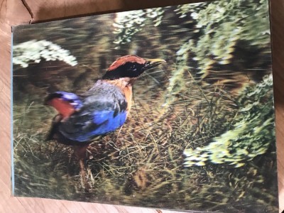 CPA. Carti Postale Tematice 3D cu imagine in miscare foto