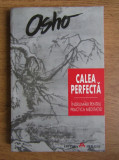 Osho - Calea perfecta. Indrumari pentru practica meditatiei