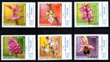 Romania 2007, LP 1758 a, Orhidee salbatice din Romania, seria cu TABS Romana, MNH! RARA!!!