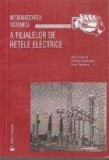 Informatizarea sistemica a filialelor de retele electrice