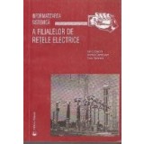 Informatizarea sistemica a filialelor de retele electrice