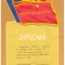 RSR 1980 - Diploma echipa fruntasa, timplari
