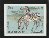 Ajman 1969-Fauna,Zebre,nedantelat,MNH,Mi.412B, Oameni, Nestampilat