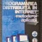 PROGRAMAREA DISTRIBUITA IN INTERNET. Metode si Aplicatii - Boian
