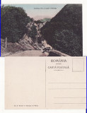 Defileul Olt Clopot ( Valcea) - rara