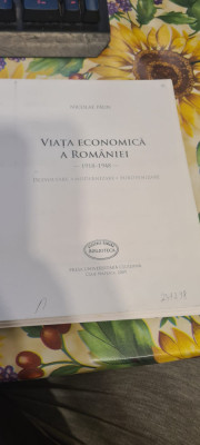 Nicolae Paun Viata economica a Romaniei 1918-1948 foto