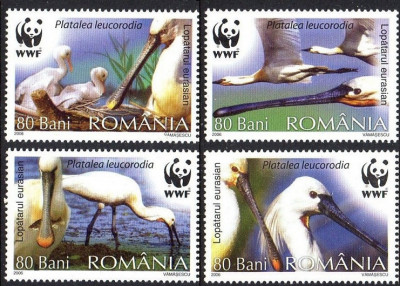 C2324 - Romania 2006 - Pasari WWF 4v. neuzat,perfecta stare foto