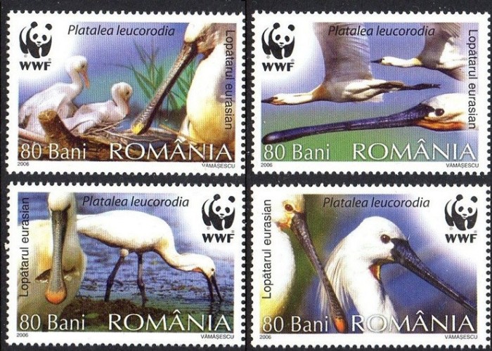 C2324 - Romania 2006 - Pasari WWF 4v. neuzat,perfecta stare