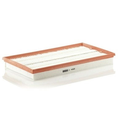 Filtru aer Mann-Filter C4265 foto
