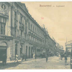 905 - BUCURESTI, Lipscani street, Romania - old postcard - unused