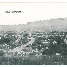 4930 - CODLEA, Brasov, Panorama, Romania - old postcard - used - 1917