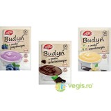Pachet Budinca de Afine fara Gluten 40g + Budinca de Ciocolata fara Gluten 40g + Budinca de Vanilie fara Gluten 40g