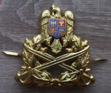 QW14 - Emblema militara / cuc - Uscat - piesa de colectie