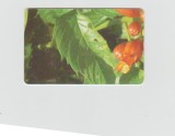 bnk card Cartele telefonice - Romania Romtelecom 2005 - Flowers - Flowers - Flowers - Puzzle 2/4 - Col:RO-ROM-0284A