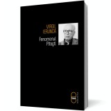 Fenomenul Pitesti (epub)