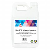 Ingrasamant Nutricig Microelemente 100 ml, Aectra