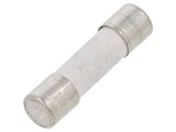 Siguranță &Icirc;nt&acirc;rziere 1.25A 250V 5x20mm, ESKA