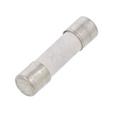 Siguranță &Icirc;nt&acirc;rziere 1.25A 250V 5x20mm