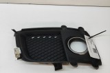 Grila st&acirc;nga față MITSUBISHI LANCER VIII CY_A, CZ_A 2008 OEM: 8321A145 30428017