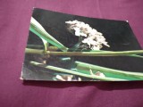 Cumpara ieftin CARTE POSTALA FELICITARE CIRCULATA ROMANIA