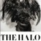 The Halo