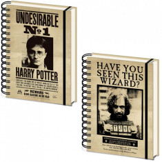 Agenda 3D licenta Harry potter - Harry Potter &amp;amp; Sirius Black foto