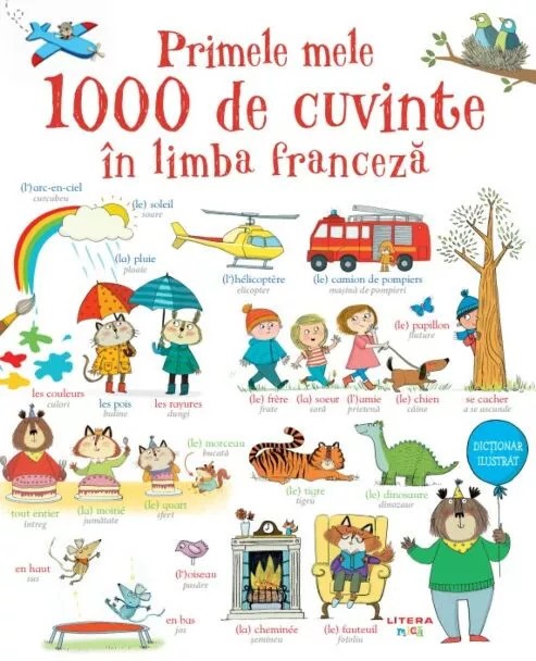 PRIMELE MELE 1000 DE CUVINTE IN LIMBA FRANCEZA