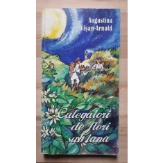 Culegatori de flori sub luna- Augustina Visan-Arnold