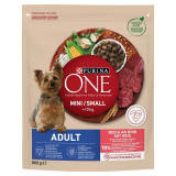 PURINA ONE MINI/SMALL Adult, carne de vită cu orez 800 g