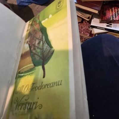 Versuri - Al. O. Teodoreanu foto