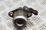 JAGUAR F-TYPE Coupe X152 2018 OEM: H4P3-9D376-AB,0261520435 SKU: 18119620