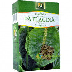 Ceai Patlagina 50gr