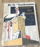 Cumpara ieftin LITR24 Berzele din Boureni - Al. O. Teodoreanu