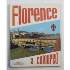 FLORENCE A COLOURED by LORETTA SANTINI , 1972 , PREZINTA URME DE UZURA
