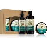 Green Pharmacy Green coffee &amp; Ginger Oil SET set cadou