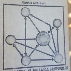 Introducere in dinamica grupurilor- Adrian Neculau