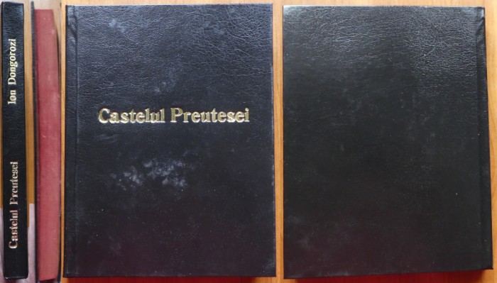 Ion Dongorozi, Castelul preutesei, Nuvele, Craiova, interbelica, editia 1