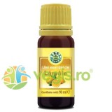 Ulei Esential de Lamaie 10ml