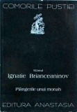 Ignatie Brianceaninov - Plangerile unui monah